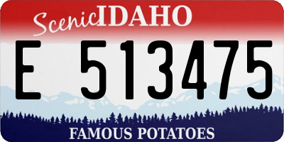 ID license plate E513475