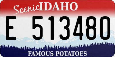 ID license plate E513480