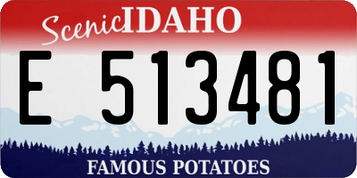 ID license plate E513481