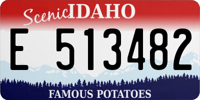 ID license plate E513482