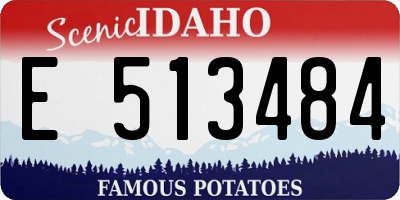 ID license plate E513484