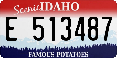 ID license plate E513487