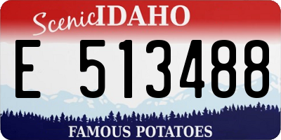ID license plate E513488