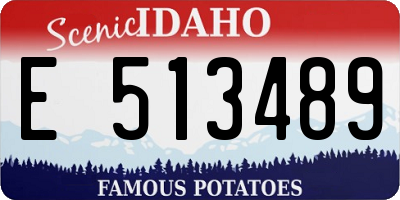 ID license plate E513489