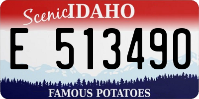 ID license plate E513490