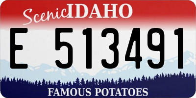 ID license plate E513491