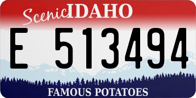 ID license plate E513494