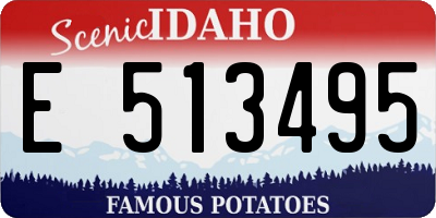 ID license plate E513495