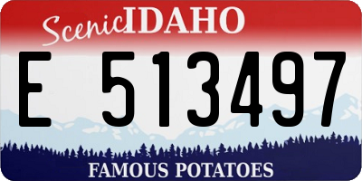 ID license plate E513497