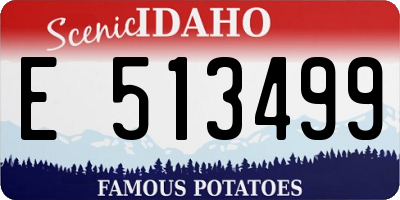 ID license plate E513499