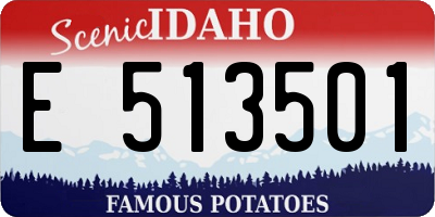 ID license plate E513501