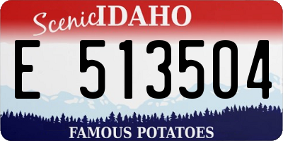ID license plate E513504