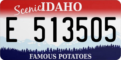 ID license plate E513505