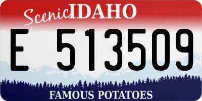 ID license plate E513509