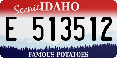 ID license plate E513512