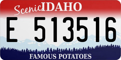 ID license plate E513516