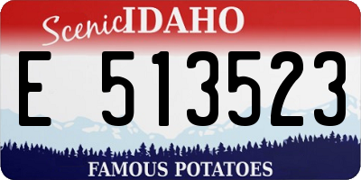 ID license plate E513523