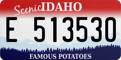 ID license plate E513530