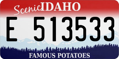 ID license plate E513533