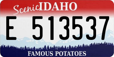 ID license plate E513537