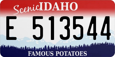 ID license plate E513544