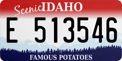 ID license plate E513546