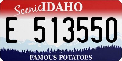 ID license plate E513550