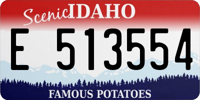 ID license plate E513554