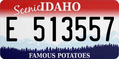 ID license plate E513557