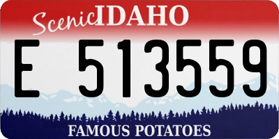 ID license plate E513559