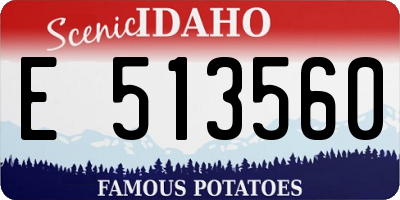 ID license plate E513560