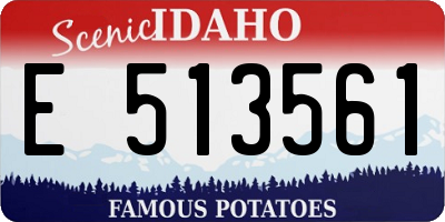 ID license plate E513561