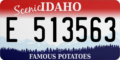 ID license plate E513563