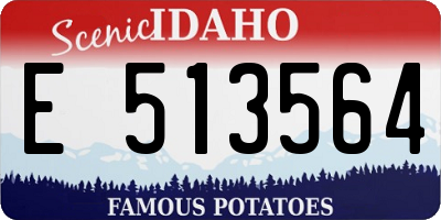 ID license plate E513564