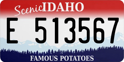 ID license plate E513567