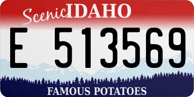 ID license plate E513569