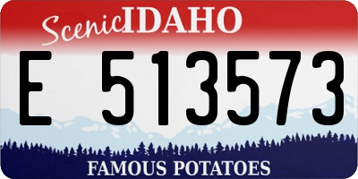 ID license plate E513573