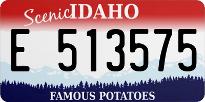 ID license plate E513575