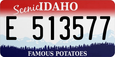 ID license plate E513577