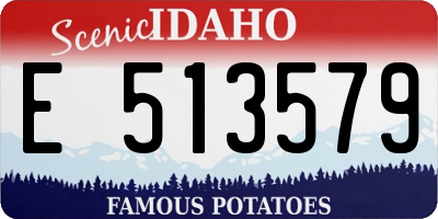 ID license plate E513579