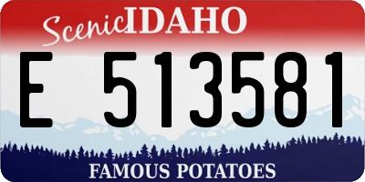 ID license plate E513581