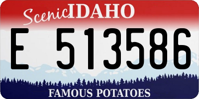 ID license plate E513586