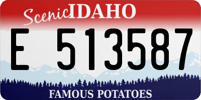 ID license plate E513587