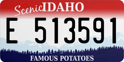 ID license plate E513591