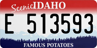 ID license plate E513593