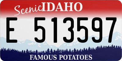 ID license plate E513597