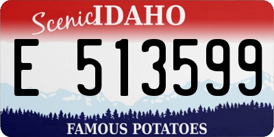 ID license plate E513599