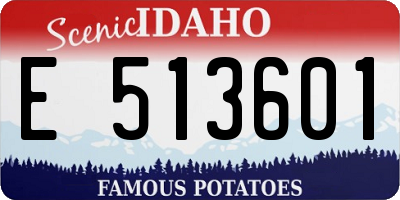 ID license plate E513601