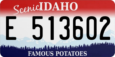 ID license plate E513602