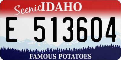 ID license plate E513604